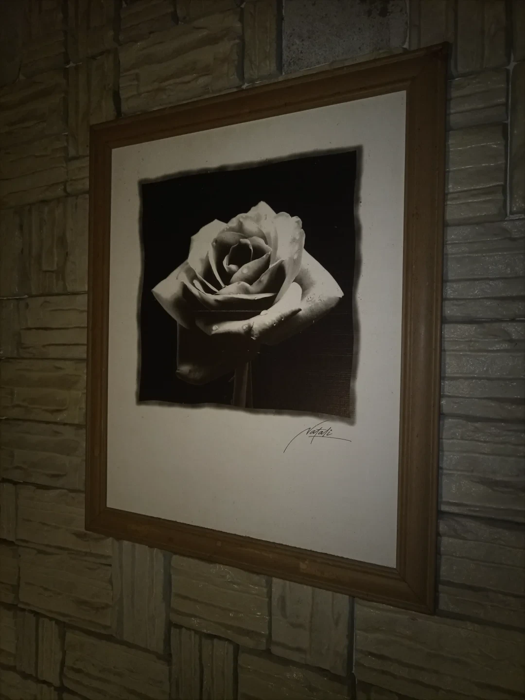 A Rosa de Natali