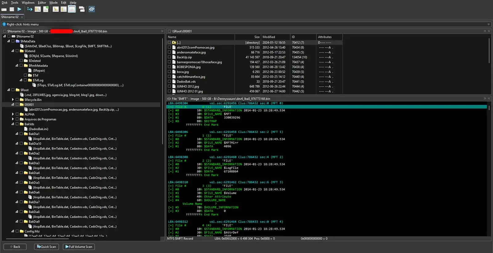 DMDE Interface
