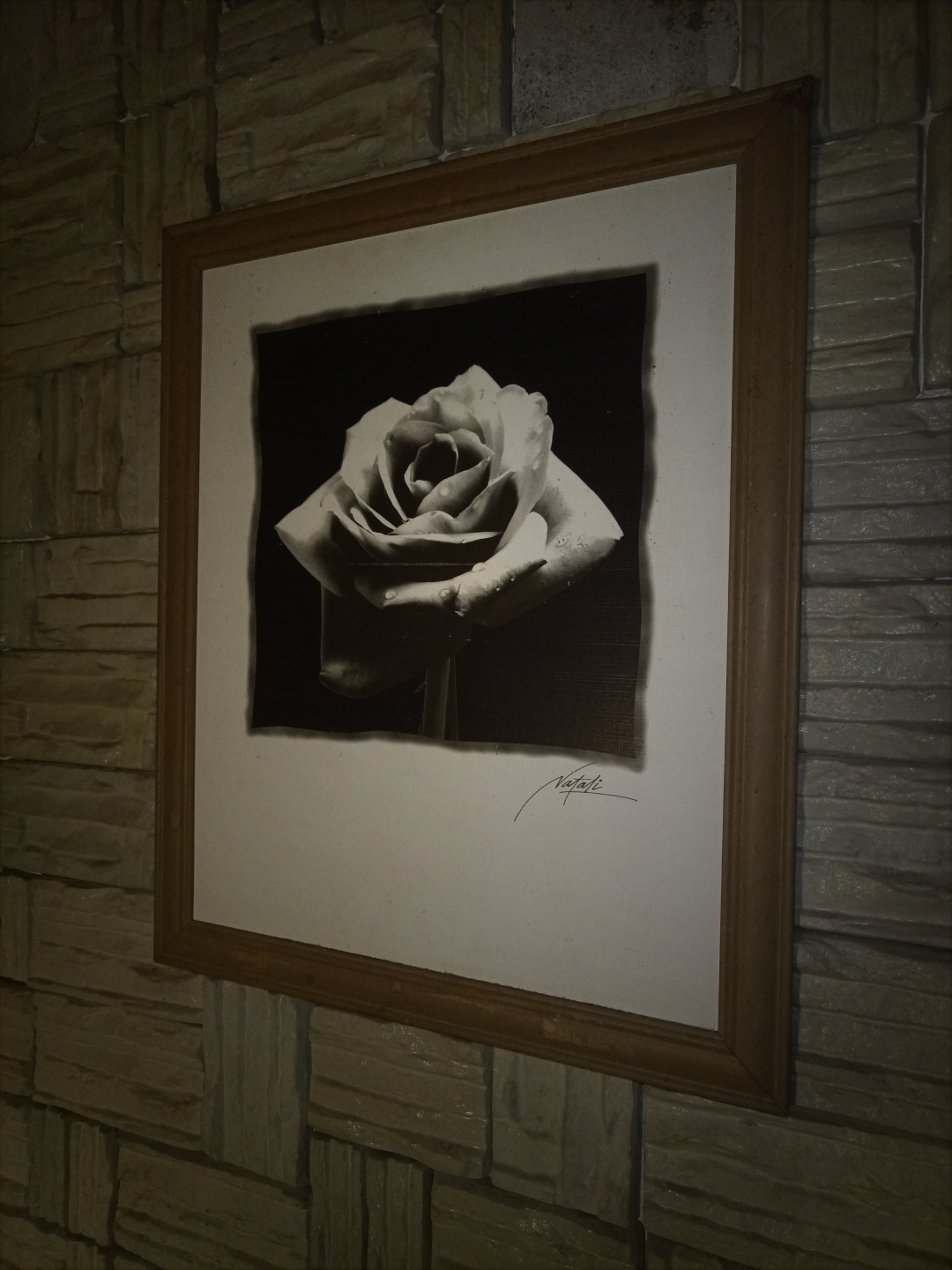 A Rosa de Natali