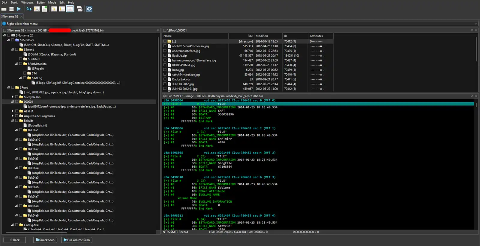 DMDE Interface