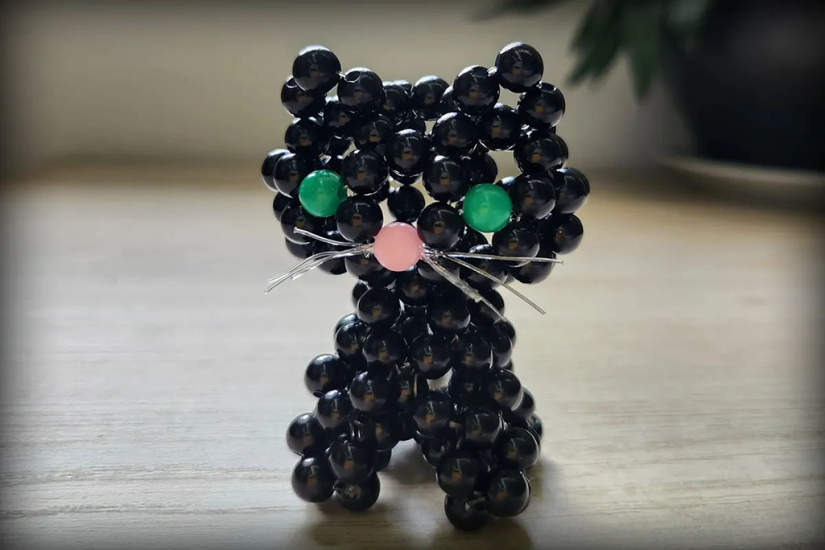 Gato Magnus